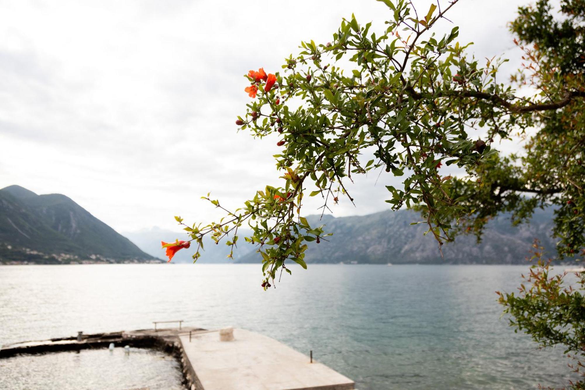Apartments Djurovic Kotor Luaran gambar